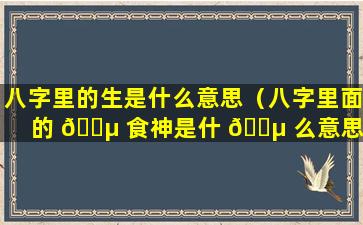 八字里的生是什么意思（八字里面的 🐵 食神是什 🌵 么意思）